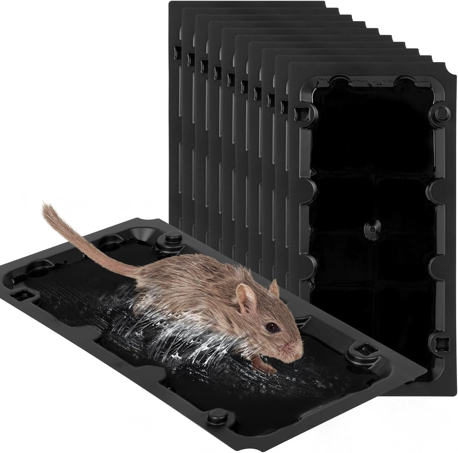 4 Stück Mausefalle für große und kleine Mäuse