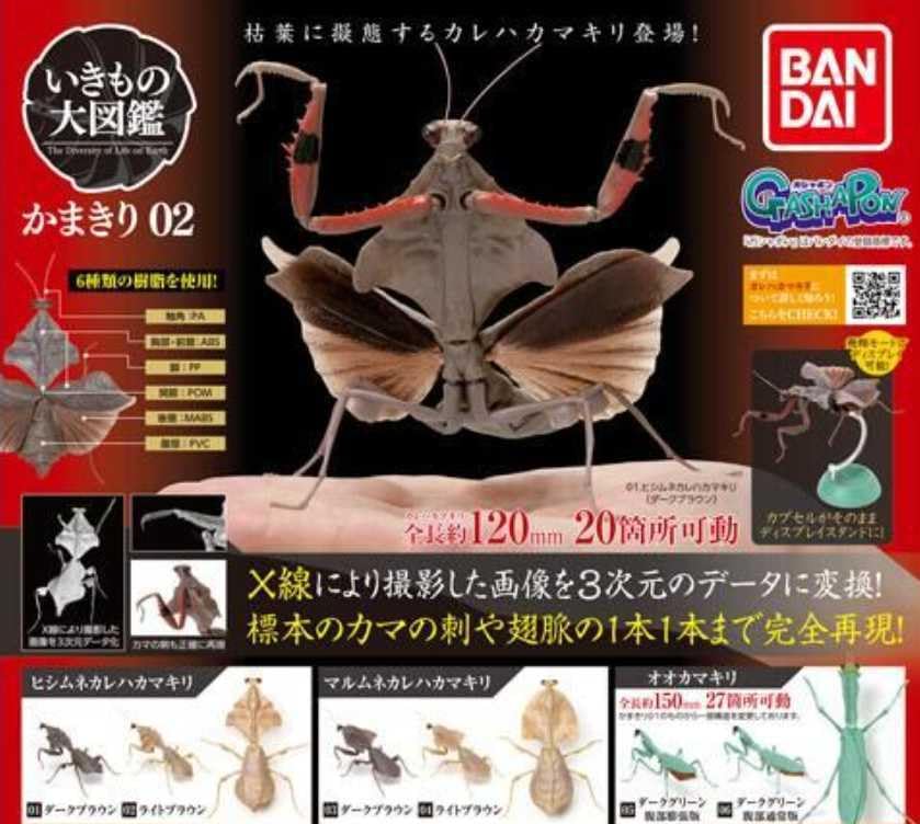 Amazon | いきもの大図鑑 かまきり02 第2弾 フルコンプ 全6種類