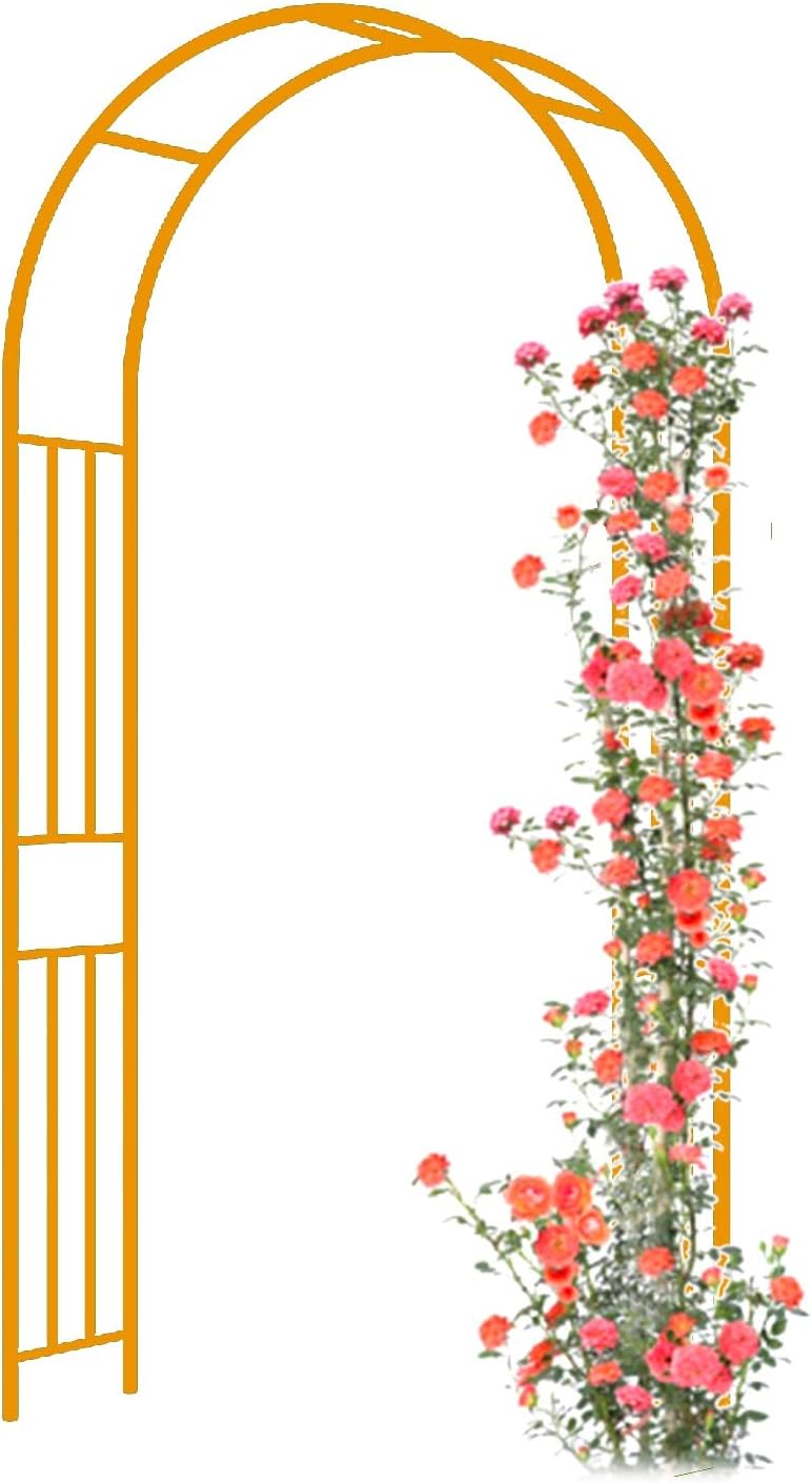 Garden Arch Trellis, Metal Pergola Arbor, Powder-Coated Metal Arch, Strong and Durable, Indoor/Outdoor Plant Support, Climbing Garden Stand (Color : Black, Size : 120x240x40cm)