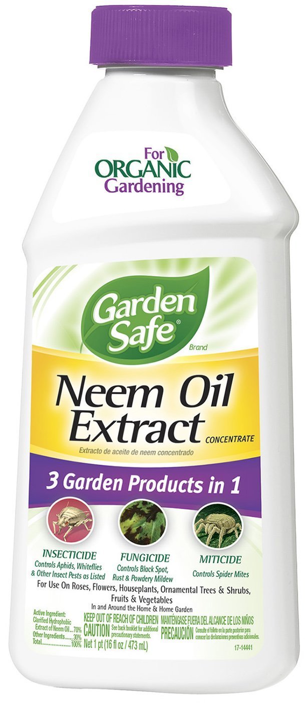Garden Safe Neem Oil Extract Concentrate (6 Count)