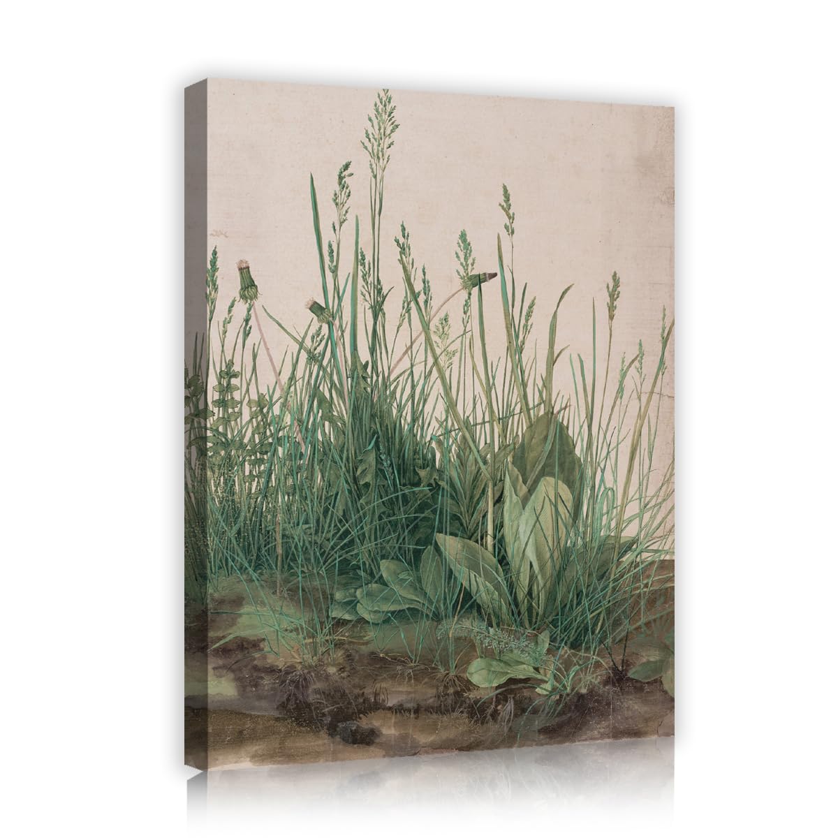 TOANGWALL Vintage Green Grass Canvas Wall Art Living Room Albrecht Durer The Large Piece of Turf Watercolor Painting Framed Prints for Office Decor 65x80cm