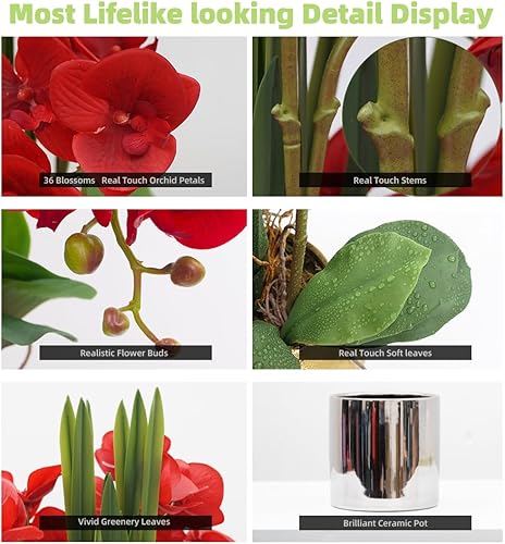 Vista 132 de CXGS Plantas artificiales de orquídeas artificiales de tacto real, orquídeas falsas en jarrón de cerámica de 20.9 pulgadas, orquídea falaenopsis
