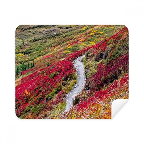 Chiffon microfibre pour écran et lunettes motif forêt colorée lot de 2