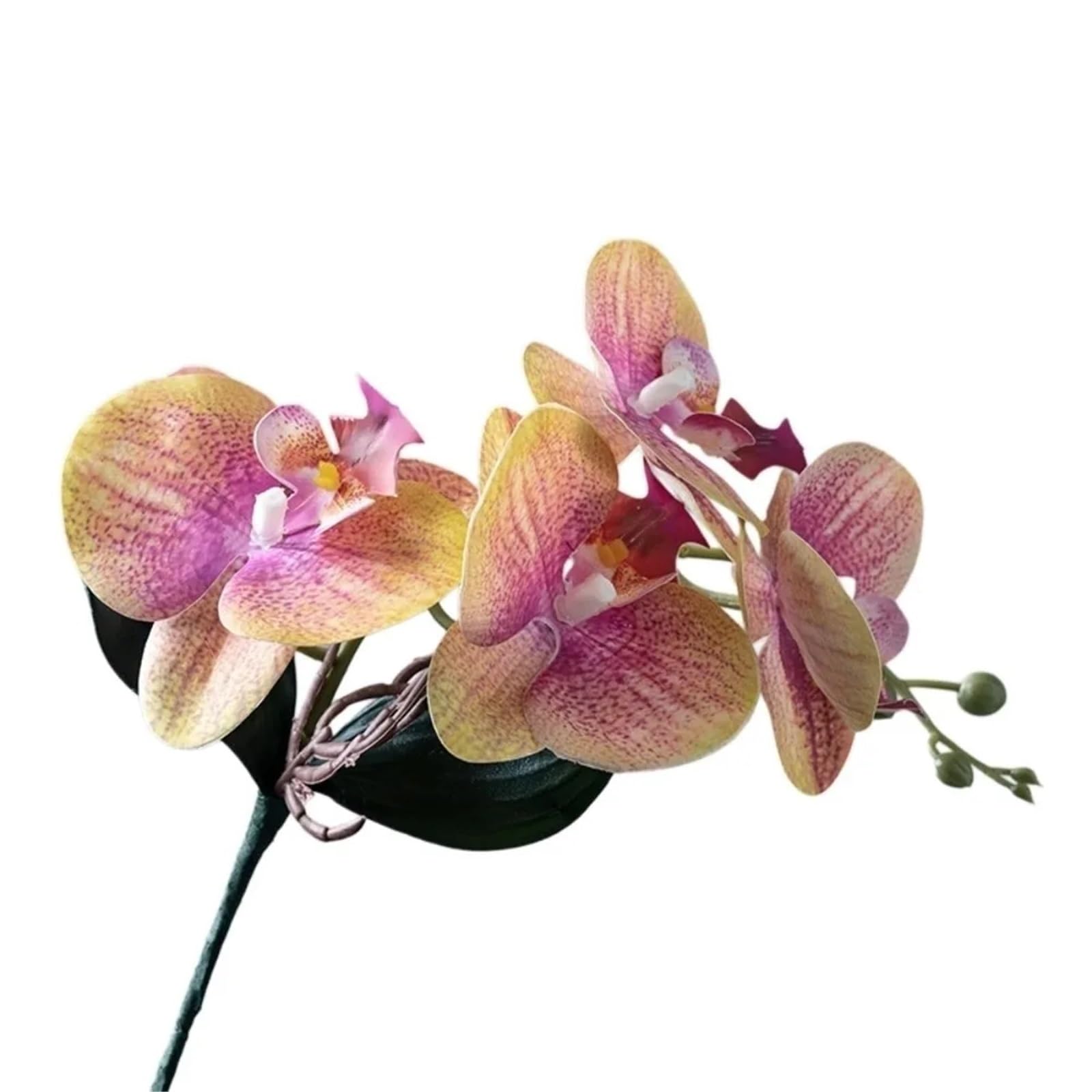 LSYHHXC Artificial Orchid Vivid Artificial Moth Orchids Cloth Realistic Simulation Phalaenopsis Plants With Leaves Fake Butterfly Orchid