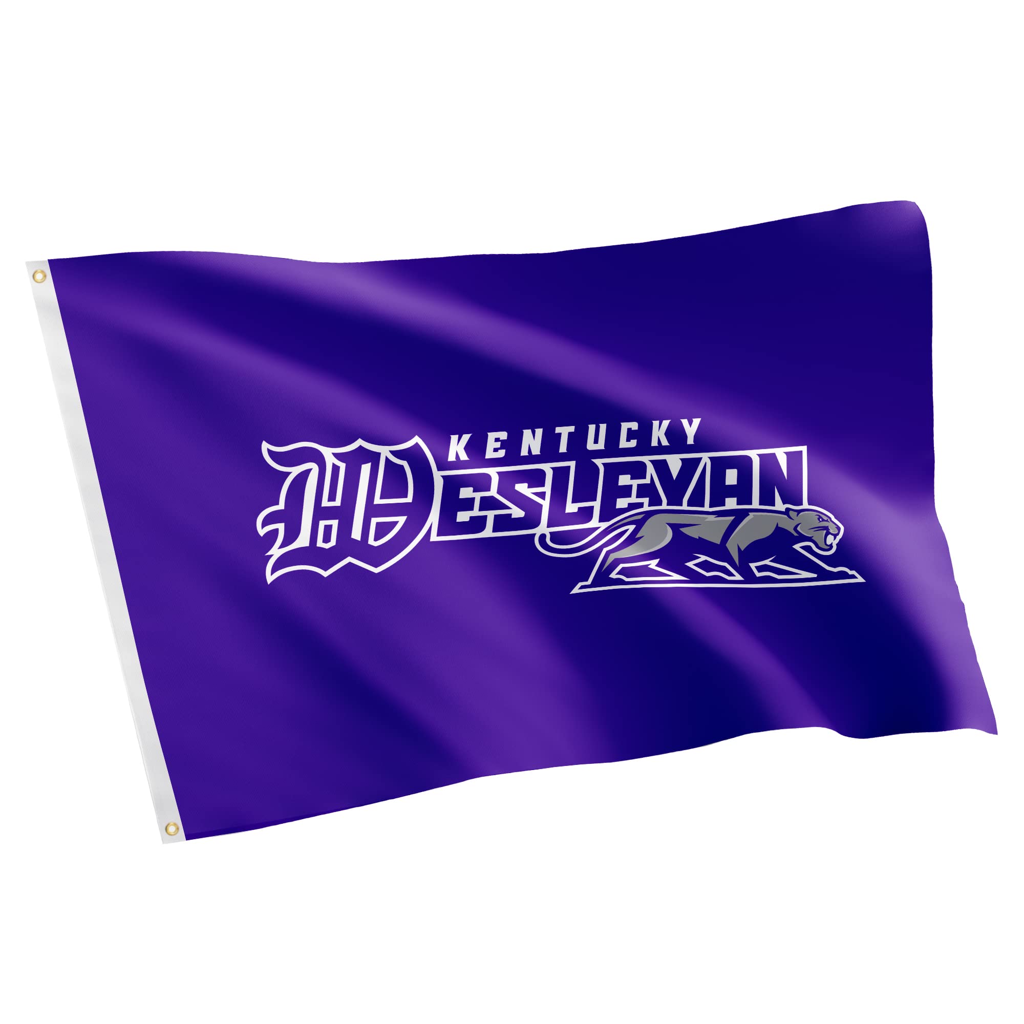 Desert Cactus Kentucky Wesleyan College KWC Flag - 3 x 5 Feet Panthers Banner, Indoor/Outdoor Durable Fabric, 100% Polyester Design (Style 1)