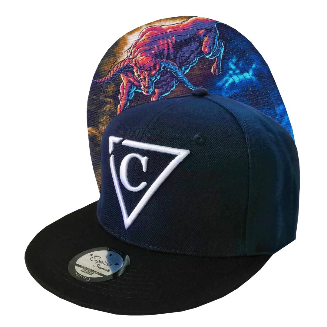 Capiche [99+ VARIACIONES] Gorra Snapback Nueva Colección Special Series Gris Oscuro — view 106