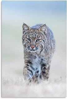 Lovely Lynx Bobcat Animals Canvas Poster Bedroom Decor Sports Landscape Office Room Decor Gift,Canvas Poster Wall Art Decor Print Picture Paintings for Living Room Bedroom Decoration 12x18inchs(30x45c