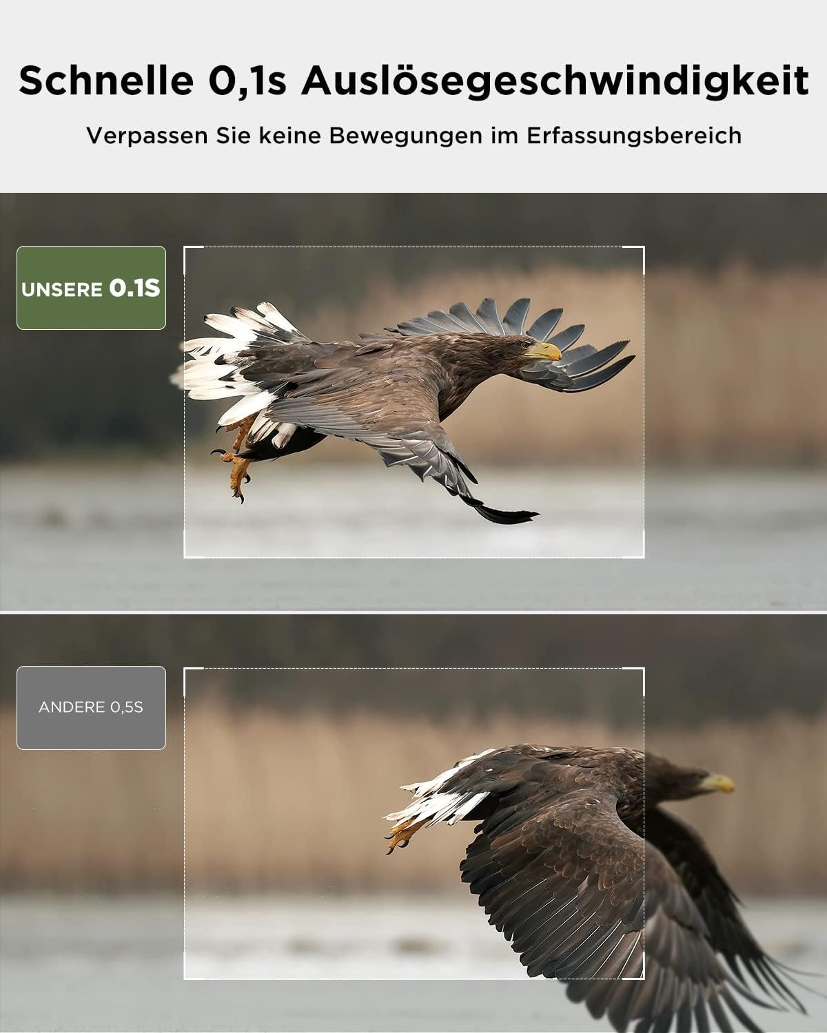 CEYOMUR Solar WLAN Bluetooth Wildkamera Handyübertragung, 4K 30fps 46MP Jagdkamera, mit Bewegungsmelder Nachtsicht IP66 Wasserdicht für Wildtier Überwachung mit U3 32GB Micro SD-Karte