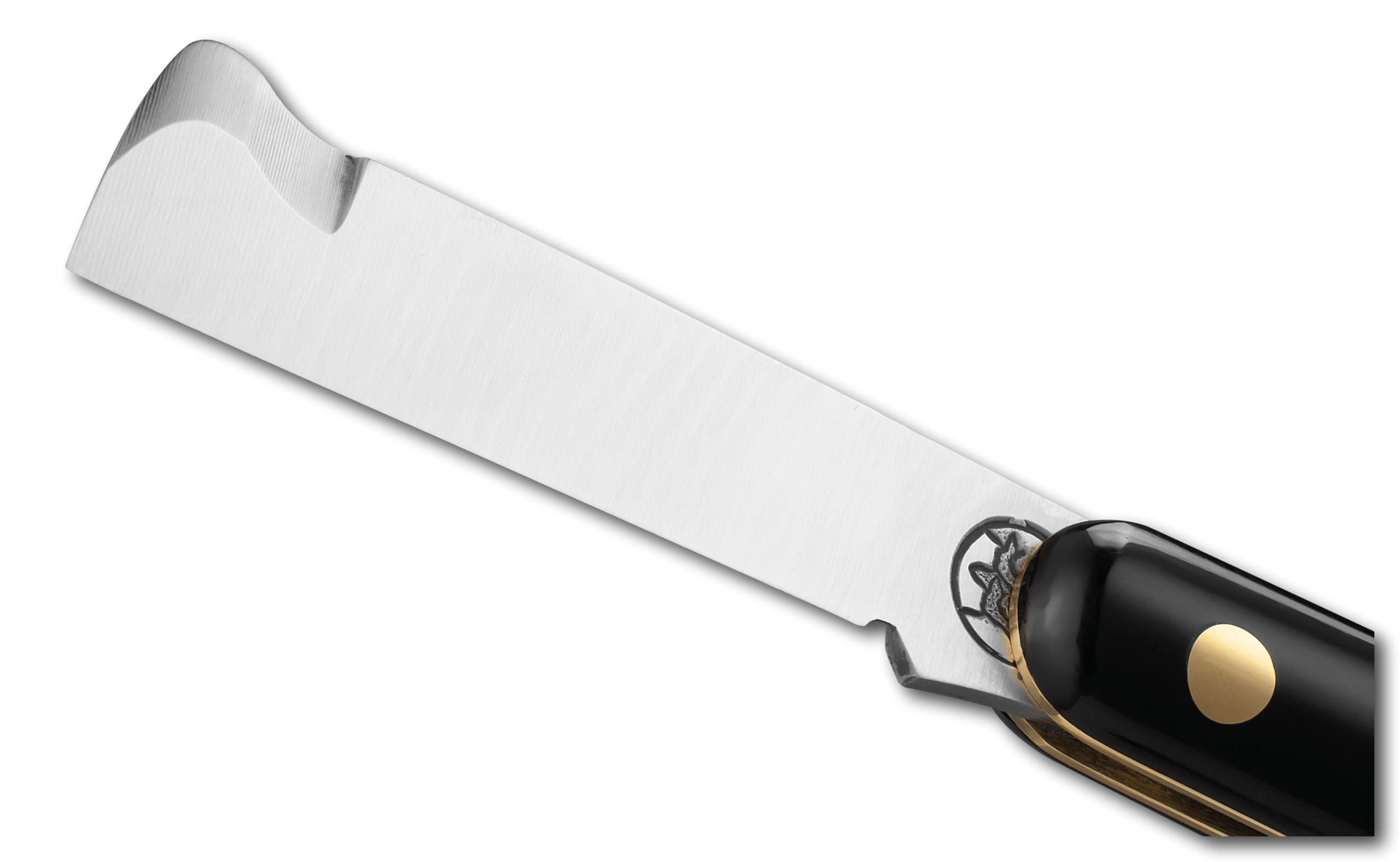 DUE BUOI 202AP Coltello da Innesto per Mancini Professionale Alberi da Frutto e Giardinaggio Acciaio Inossidabile Böhler N690 Manico in Plastica
