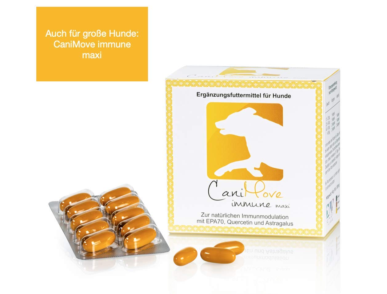 Immune mini (100 Kps), Booster zum Immunsystem stärken und modulieren, für Immunobalance, mit EPA, Tragant und OPC
