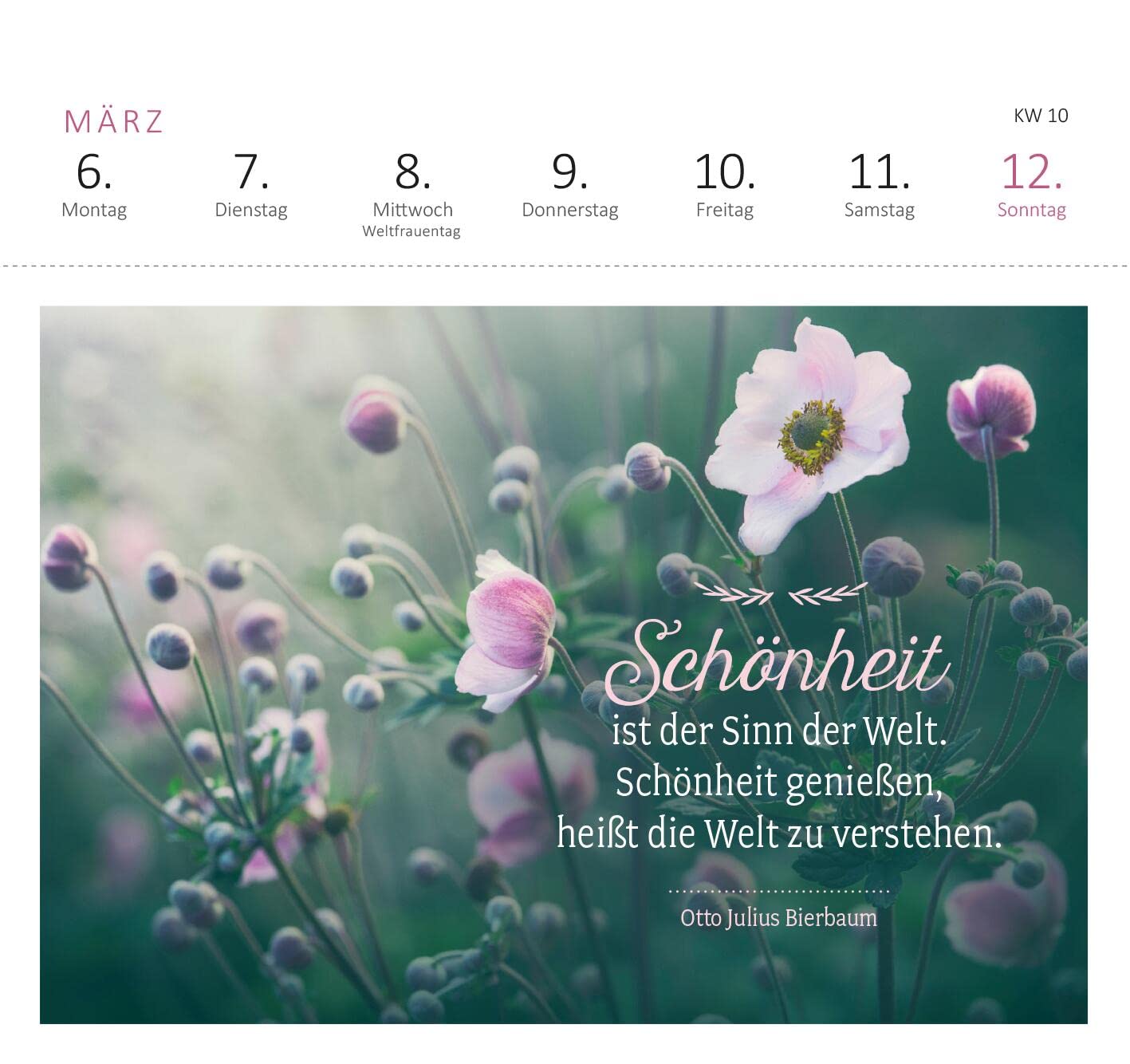 Postkartenkalender Lebensweisheiten 2023: Wochenkalender 2023, 53 Postkarten für mehr Inspiration
