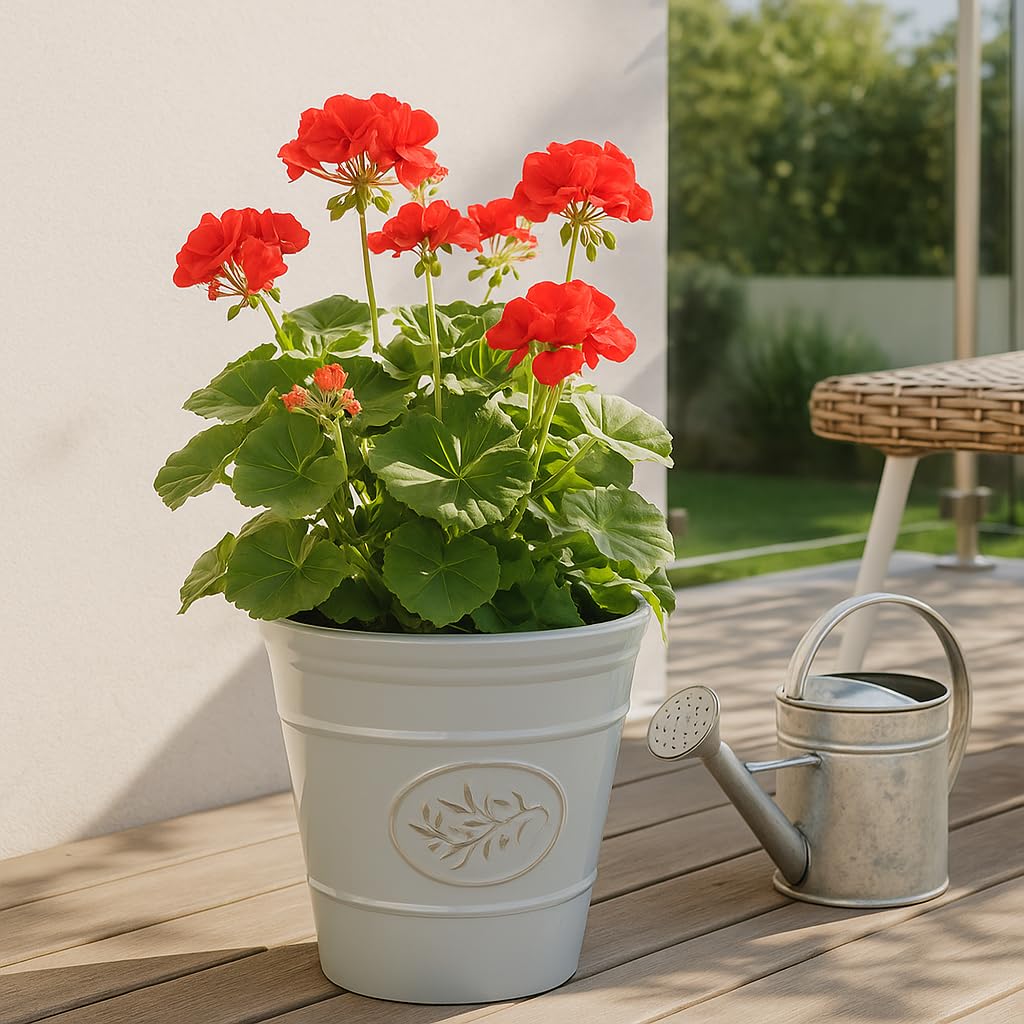 Outdoor Classic Olive Planter | Ceramic Look Round Plastic Flower Pot With Glossy Finish | Frost & UV Resistant Traditional Garden Plant Pot| Dia: 40cm, 50cm & Square | Grey (2, 30cm Medium Round)