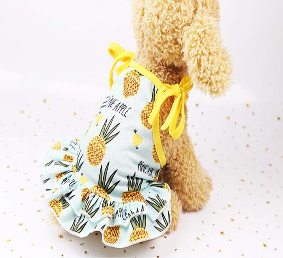BBEART Ropa para Mascotas, Playera de Verano para Perro, Perro, Perro, Falda para Perro, Gatos, Ropa para Perros pequeños, Gatos y Cachorros