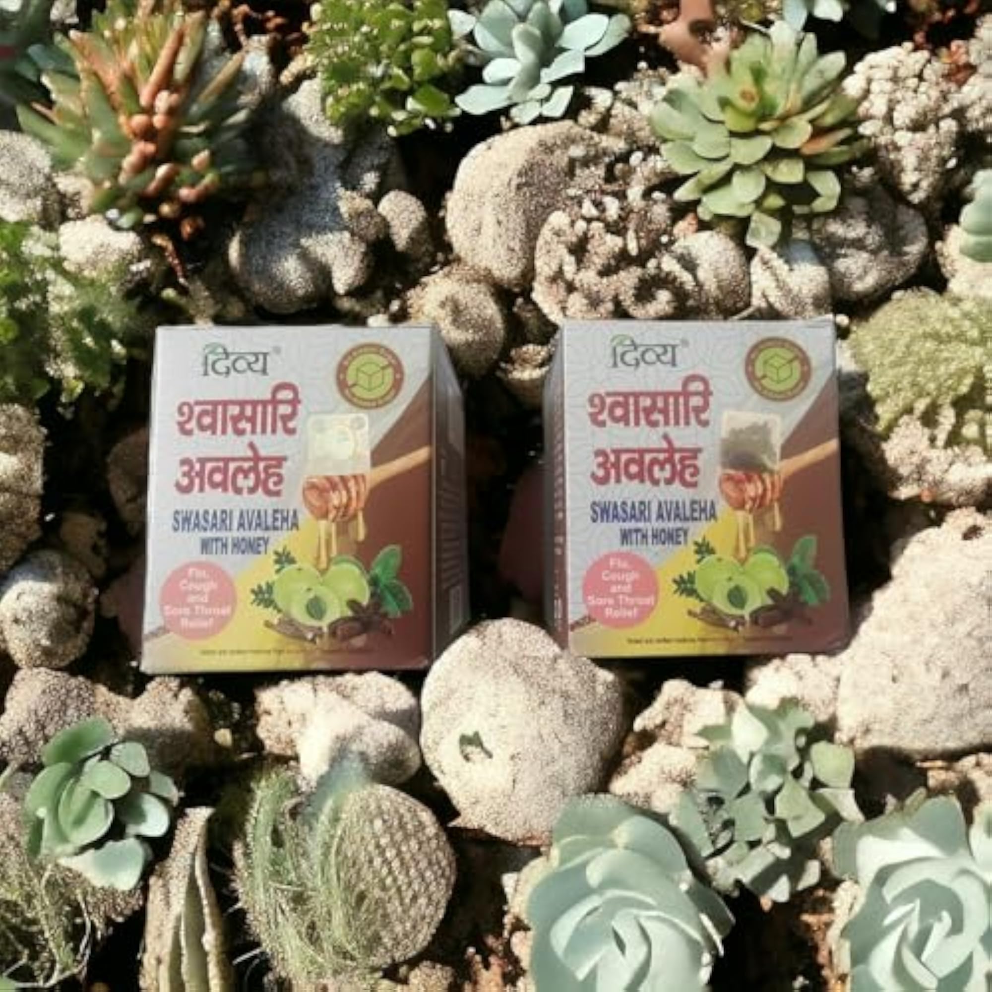 Divya Swasari Avaleha (150G)