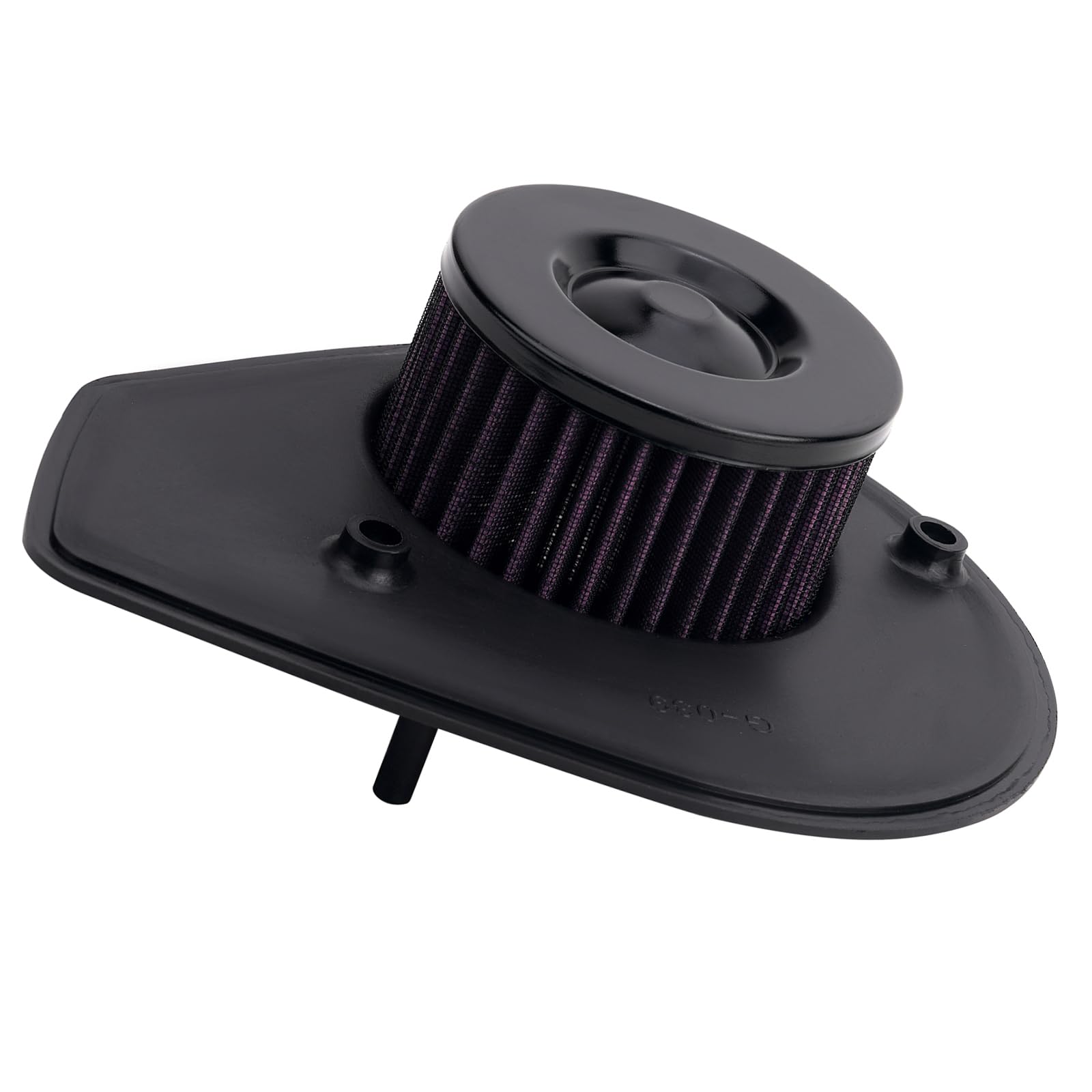 Road Passion Filtro de Aire Compatible con Harley Street 500 750 XG500 XG750 2015 2016 2017 2018 2019 2020