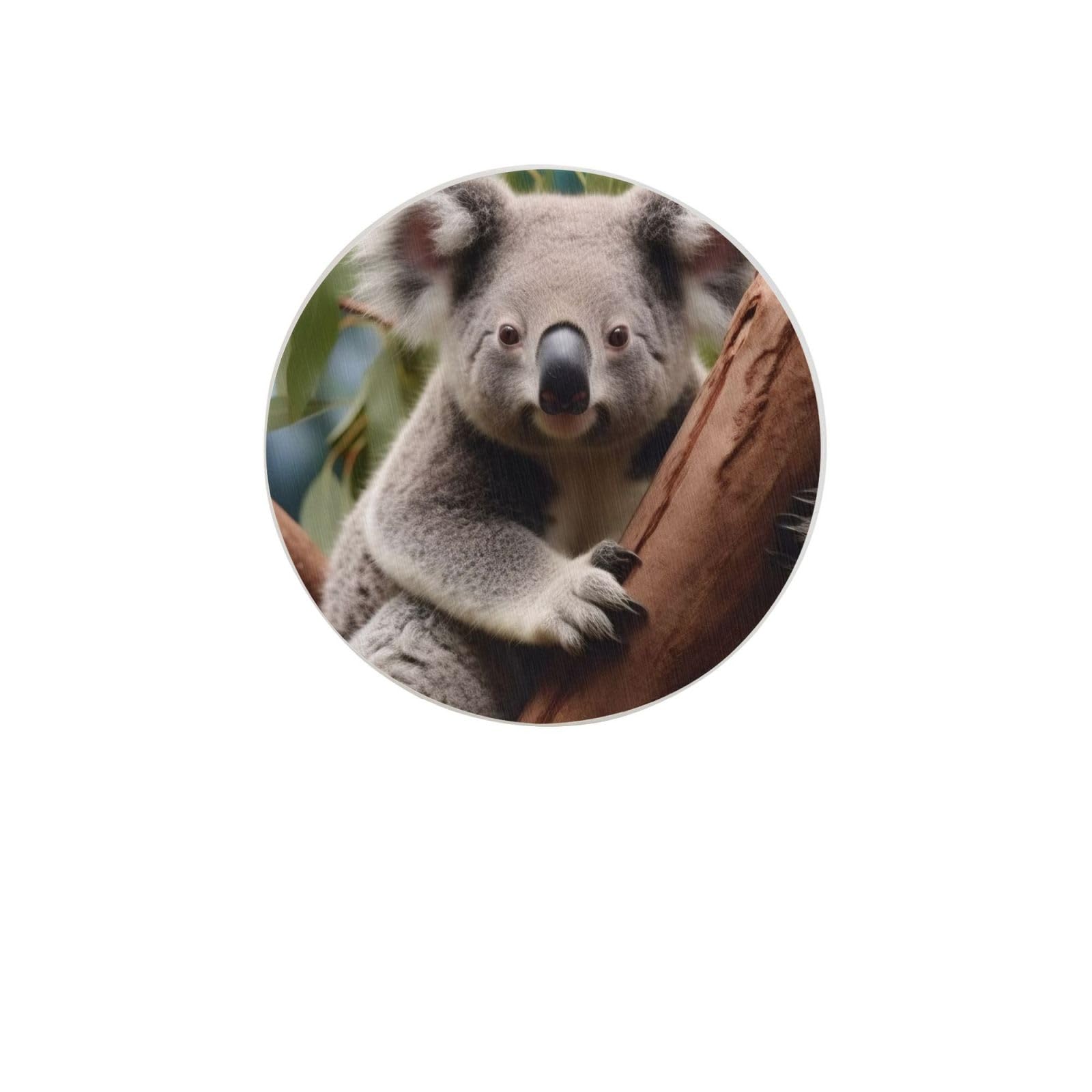 Cute Koala Absorbent Drink Coasters Diatomaceous Round Coaster 4 Inch Reusable Cup Coasters Set 4pc