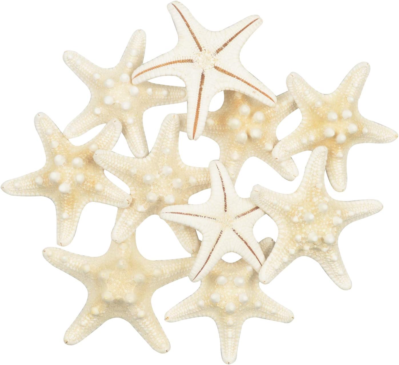 10PCS Real Starfish Mixed Ocean Beach Starfish Natural Colorful Seashell Starfish Perfect for Wedding Decor, Beach Theme Party, Home Decoration, DIY Craft Project, Fish Tank, Holiday Decoration