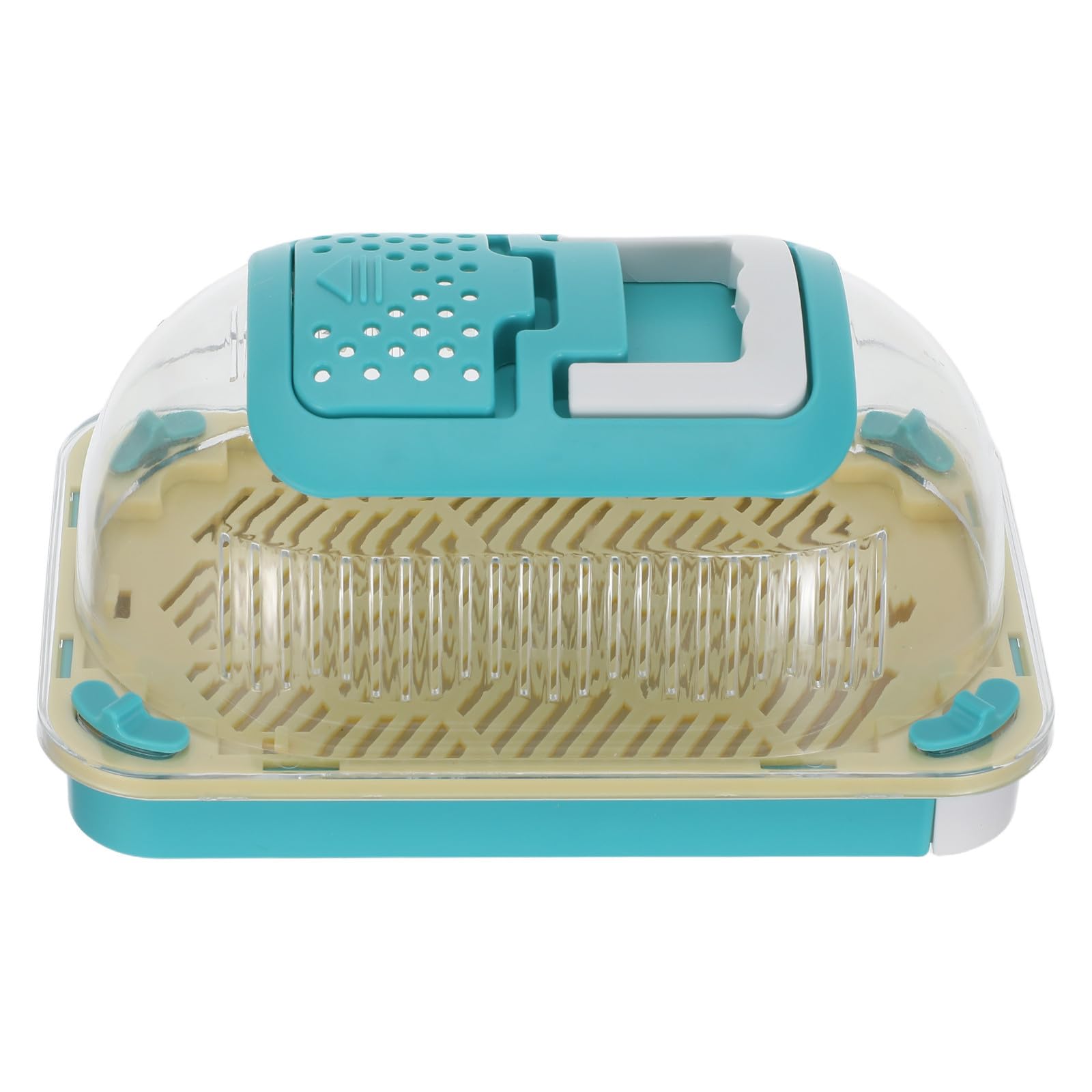 Caja de cría para caracoles transparente antitranspiración con múltiples ventilaciones