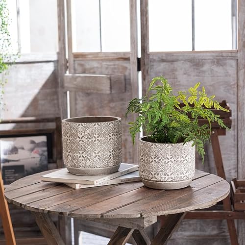 Cocoyard Cement Planter Pot Including Drainage Holes – Flower Gifts – Decorative Windowsill And Table Product #TOP1