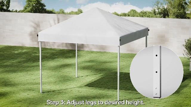 Amazon.com: Vinabilia 10x10 Pop Up Canopy Tent with One-Push