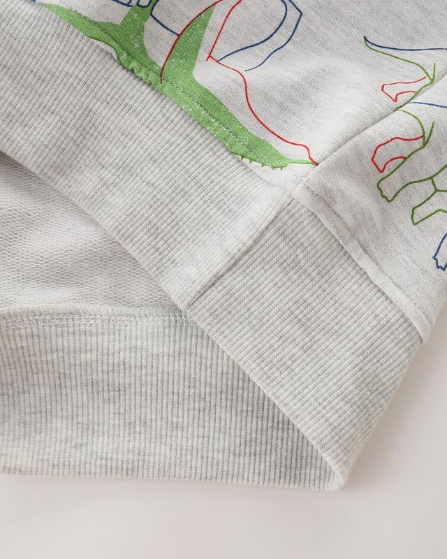 Toddler Boy Sweatshirt Dinosaur Sweater Shirts Crewneck Pullover Cotton Graphic Tops4