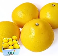 Misawa no Yasai Tosa Buntan, 22.0 lbs (10 kg), Buntan, Made in Kochi Prefecture, For Home Use, Rubbed, Stain, Black Spot