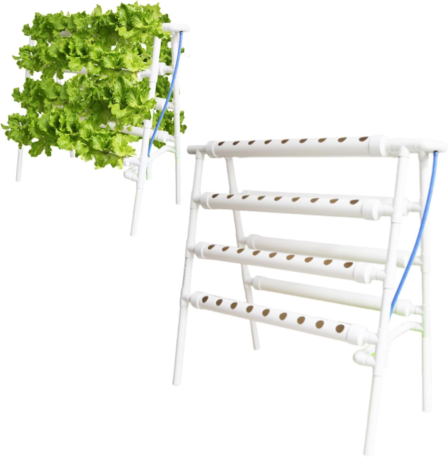 BOTANIUM(ボタニアム) 水耕栽培キット ローレルグリーン（公式】水耕