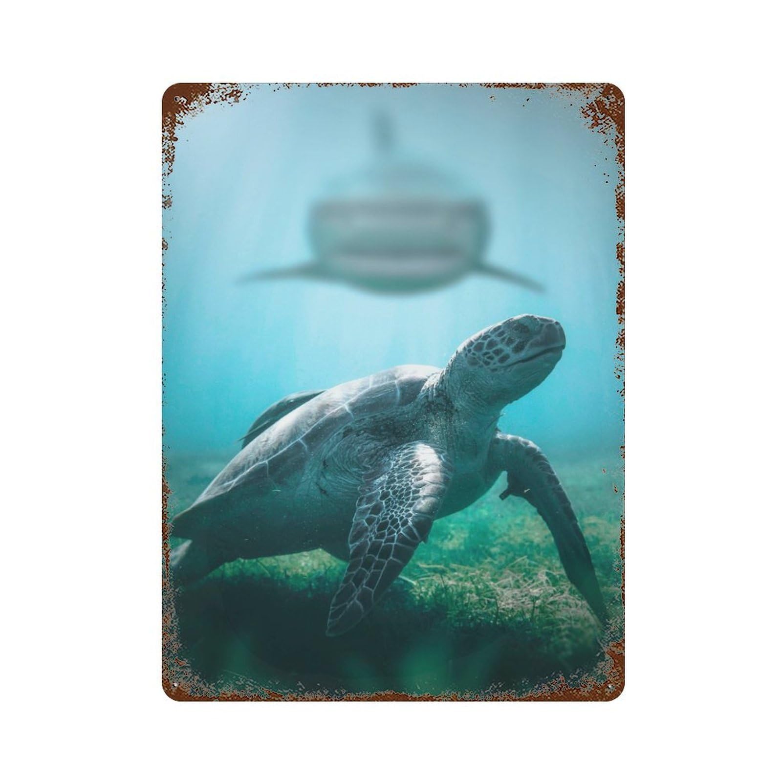 Shark Meets Turtle 15.7"x11.8" Vintage Rust Metal Sign, Classic Wall Plaque for Pub, Kitchen And Man Cave Decor