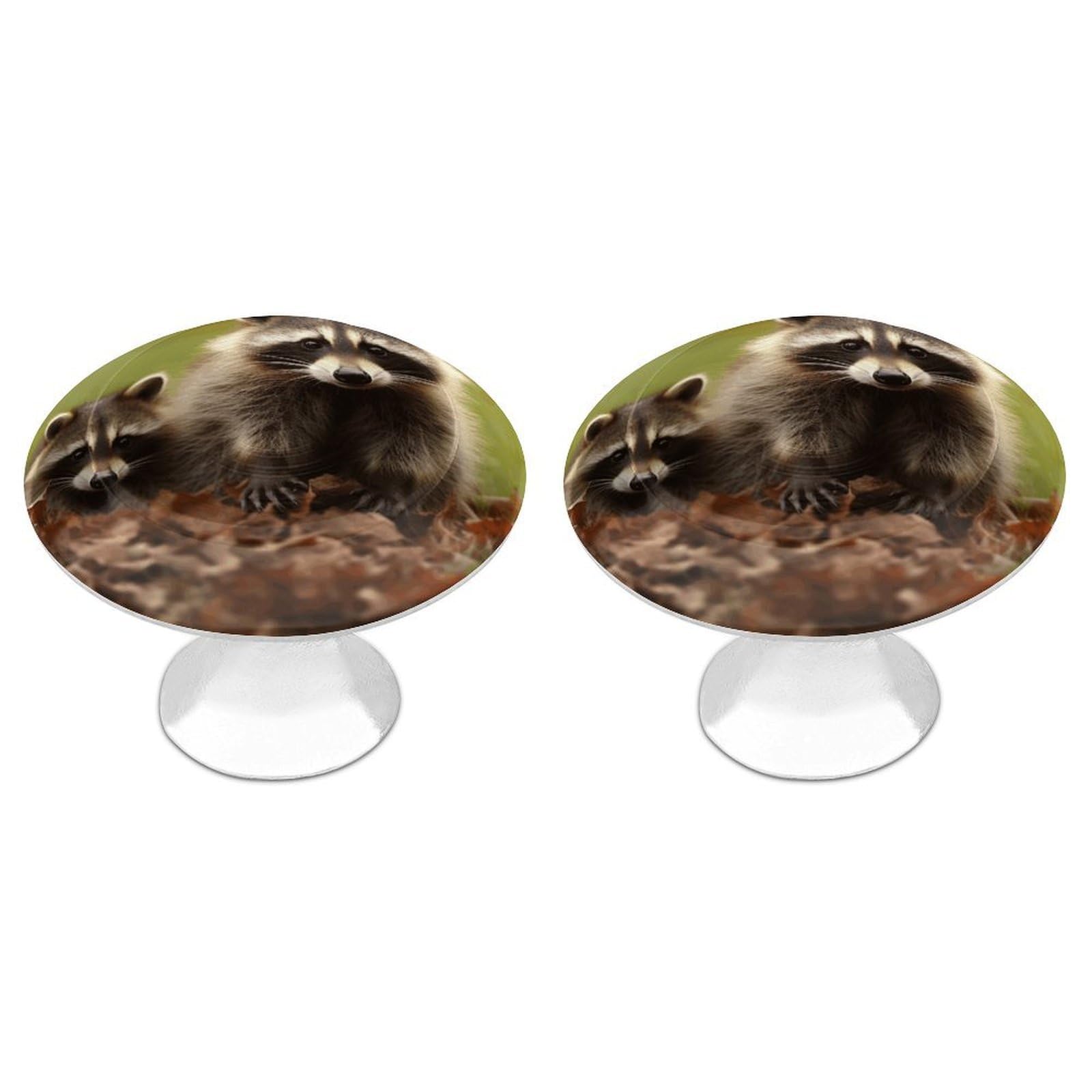 Vstadank Style Raccoon Drawer Pulls Sturdy Stainless Steel Door Handle Round Cabinet Knobs Fashion Dresser Drawer Knobs Door Pulls Exquisite Cabinet Handles Furniture Pull 2Pcs