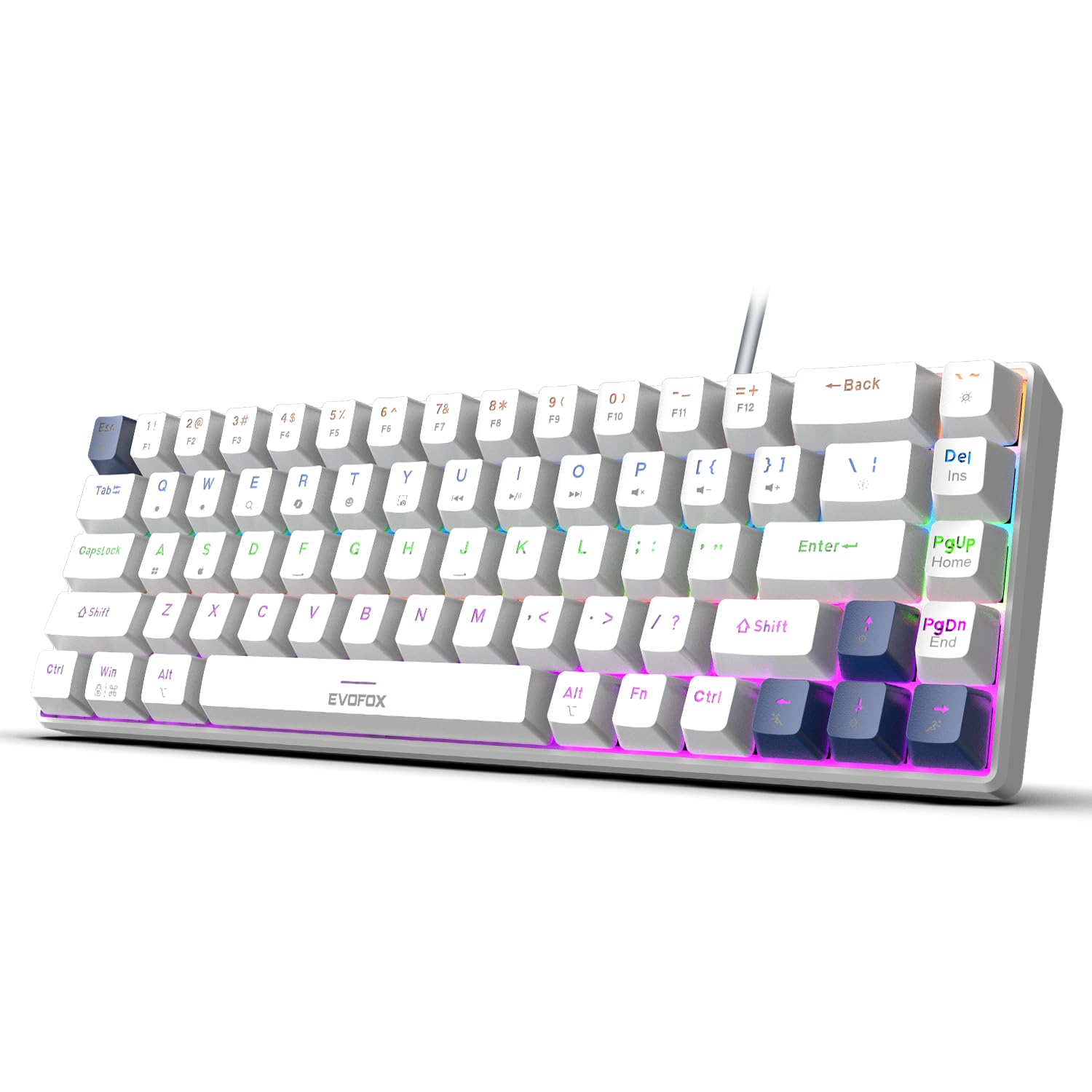 EvoFox Katana S Mini Wired Mechanical Keyboard | Hot-Swappable Silent Red Switches | 68-Key Compact Layout | Vivid Rainbow Backlighting | 1000Hz Polling Rate, All Keys Anti-Ghosting (White)-image-4