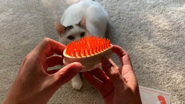 4 In 1 Self-Cleaning Pet Water Spray Brush Dog Hair Steay Cob Cat Stea Brush - Dog Bath Brush And Dog Brush Price