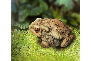 Frog Resin Mold, Versatile Silicone Mold for DIY Resin Art Projects