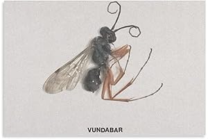Vundabar Embellishing Canvas Print: Aesthetic Landscape for Home and Office Decor
