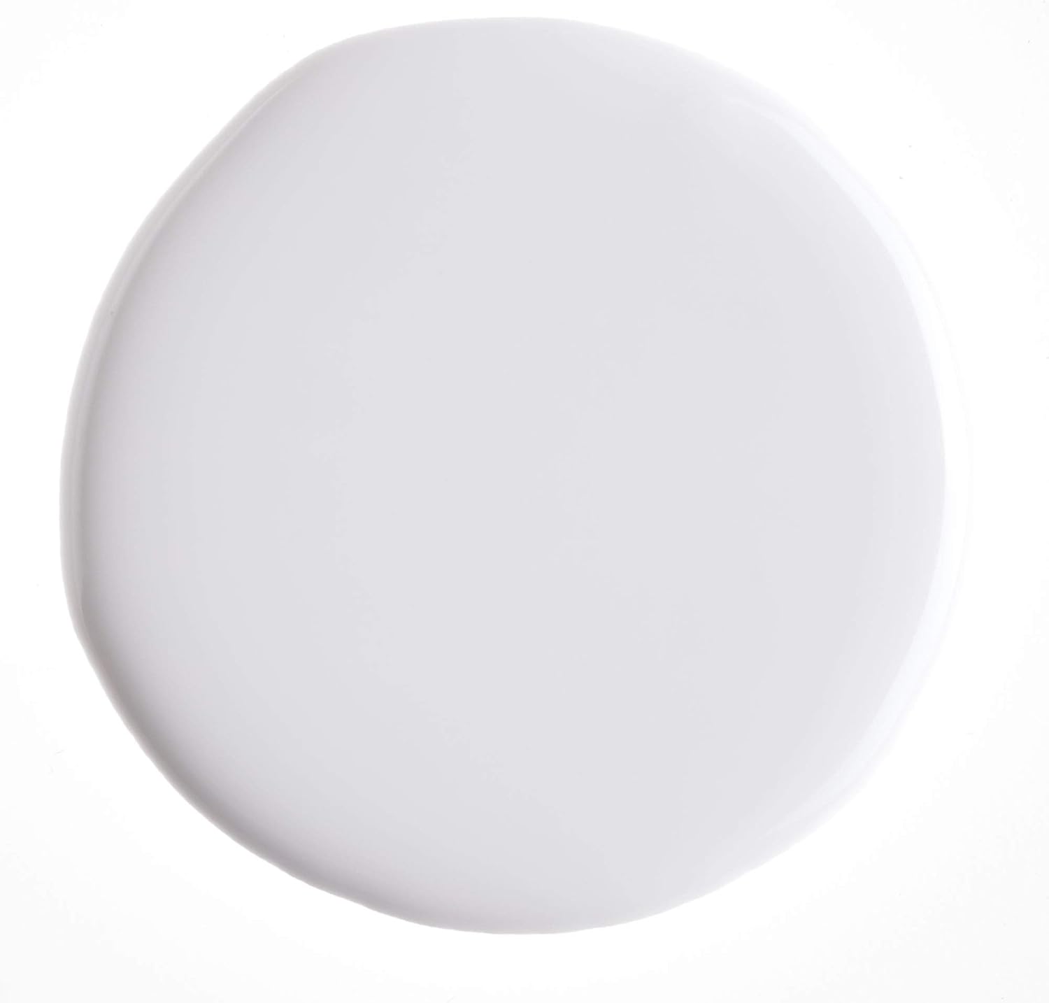 Counter Culture DIY Armor Art Pigment, White, 0.85 oz, Resin Epoxy Dye for Waves and Water Effects