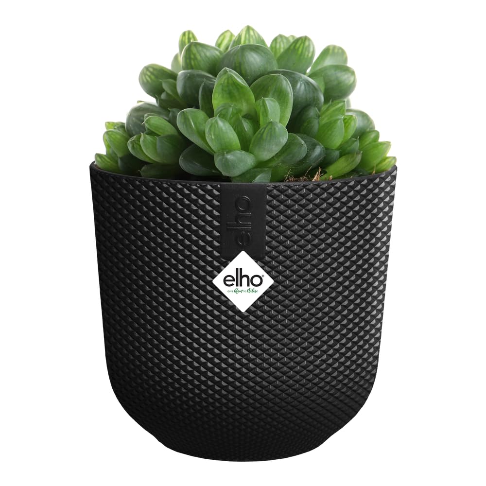 elho jazz round mini 11cm flower pot - Living Black