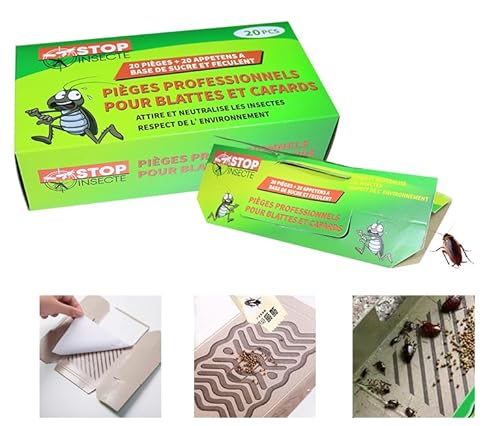 Kit de 20 Pièges Professionnels + 20 Appâts surpuissants pour Éliminer Cafards et Blattes - Solution Efficace pour un Environnement Sans Insectes