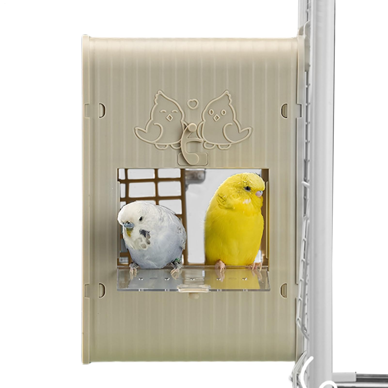 Per Parrocchetti Per Pappagalli Con Integrata | Cassetta Conuri Conservazione Natura Birdwatching Giardino Balcone Osservazione Educativa Habitat Fauna Selvatica All'Aperto
