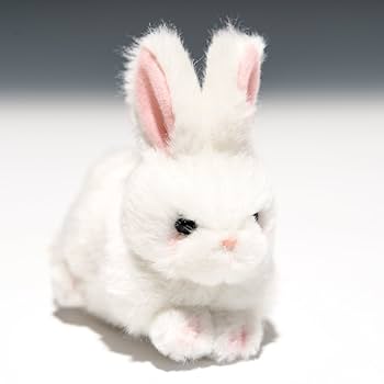 Amazon.co.jp: たけのこ プチプチらんど A ウサギ 白 ぬいぐるみ