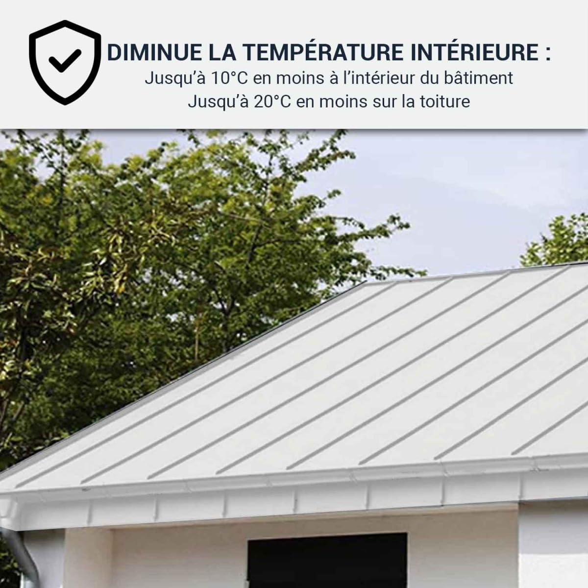 ARCANE INDUSTRIES Coolroof, toiture métallique étanche, anticorrosion - 2.5 L Blanc