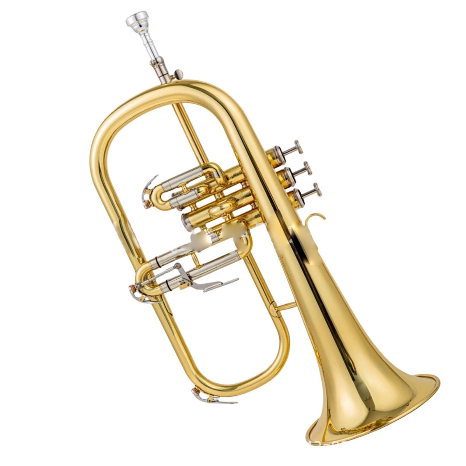 Standard Trumpet Trąbka Bb dla początkujących