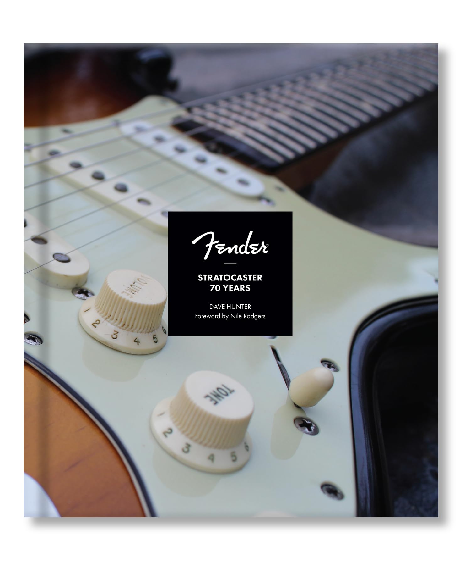 Fender Stratocaster 70 Years