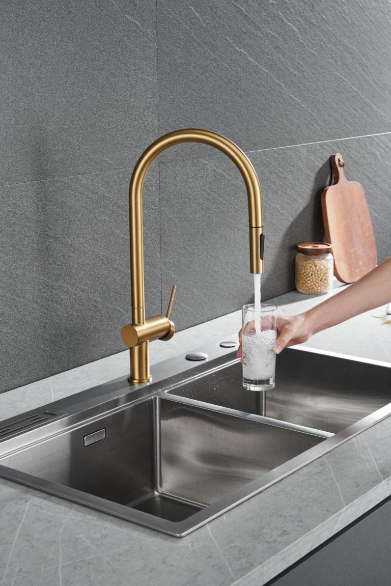 MICE/IMEX - Grifería de cocina monomando extraíble - Grifo monomando de fregadero con sistema ahorro energético - Mezclador agua fria/caliente - Caño Giratorio a 360° - Oro Cepillado