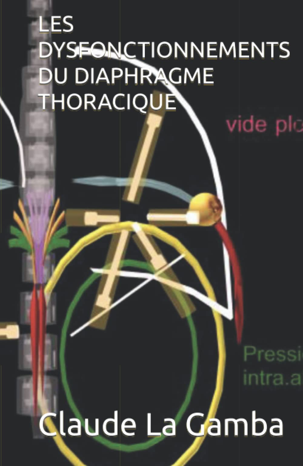 Diaphragme thoracique dysfonctionnements soulager le stress au quotidien