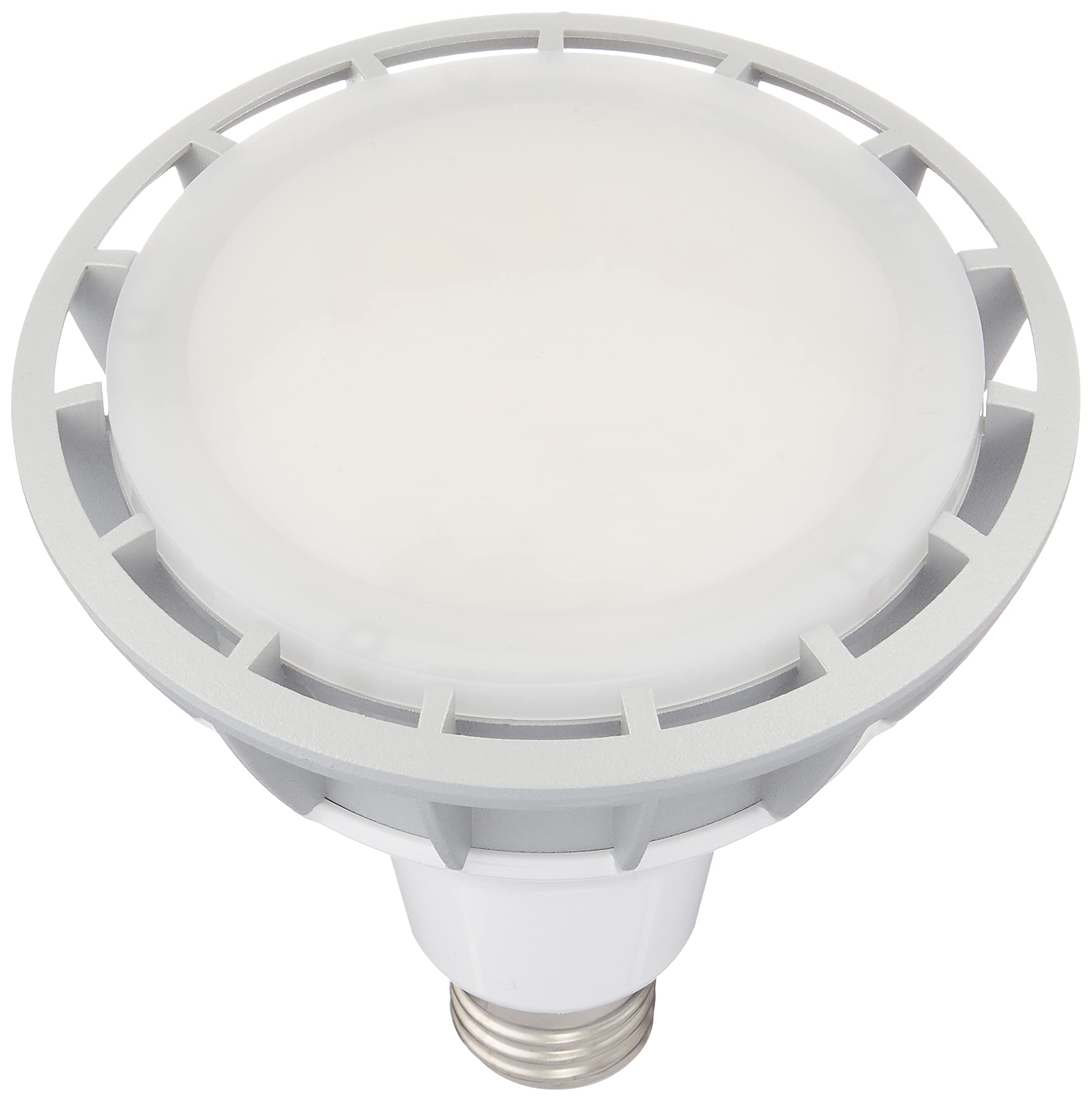 Amazon | ハタヤ (HATAYA) LEDランプ LDR20N-H110 | 作業灯 | 産業