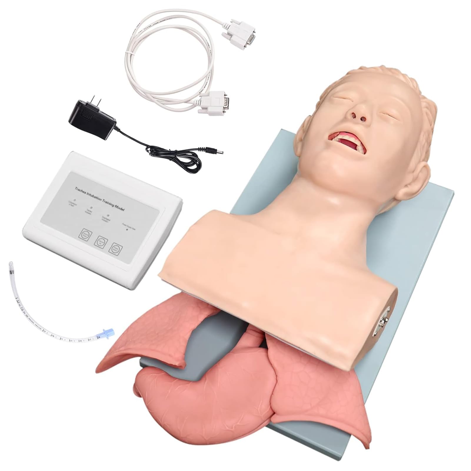 ZEQFEMKL Tracheal Intubation Simulator Manikin- Airway managment Teaching aid with endotracheal Tube, Oral/Nasal Intubation Human Model for Science lab Study