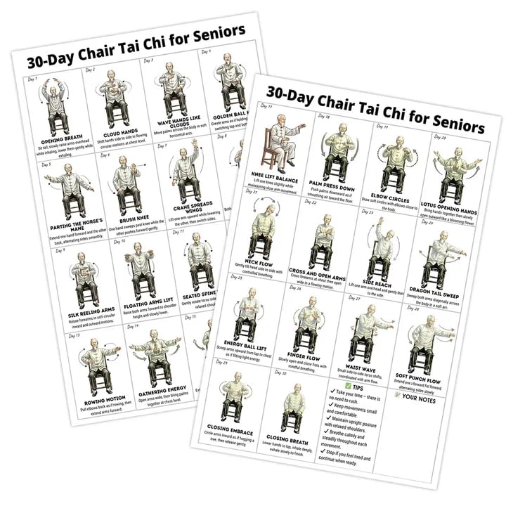 ACnuov Tai Chi Chair Exercise Chart Poster for Seniors and Beginners, Seated Tai Chi Workout Wall Art Decor for Home Gym and Office, Unframed Daily Taichi Exercises Guide (16x10 Inch)