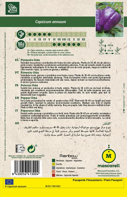 Mascarell Semillas, PIMIENTO, Semillas Huerto, PIMIENTO ODA, Crea tu Propio Huerto Urbano y Cultivo en Casa, Plantas Hortícolas, 0,3 Gramos