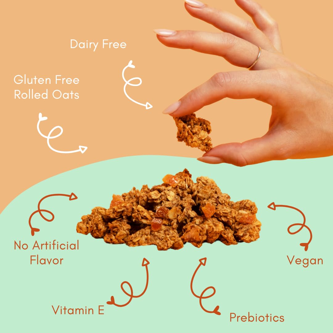 Tempo Granola Apricot Coconut Almond Loose Granola - 3 Pack of 11 oz Bags - Nutrient-Rich, Gluten Free, Vegan, Oats, High Protein, Low Sugar, Vegan, Dairy Free, Soy Free, Vitamin E, Prebiotics For Optimum Gut Health