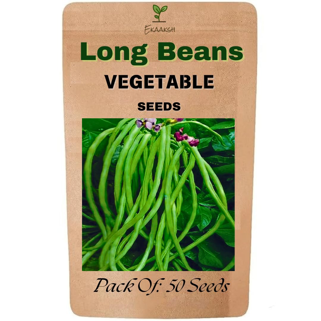 Ekaaksh - Long Beans/Lobia/Cow Pea Seeds + Free Seed Germination Paper + Planting Guide - New Seeds with Test Result - Best for Pots, Terrace & Kitchen Gardening-image-36