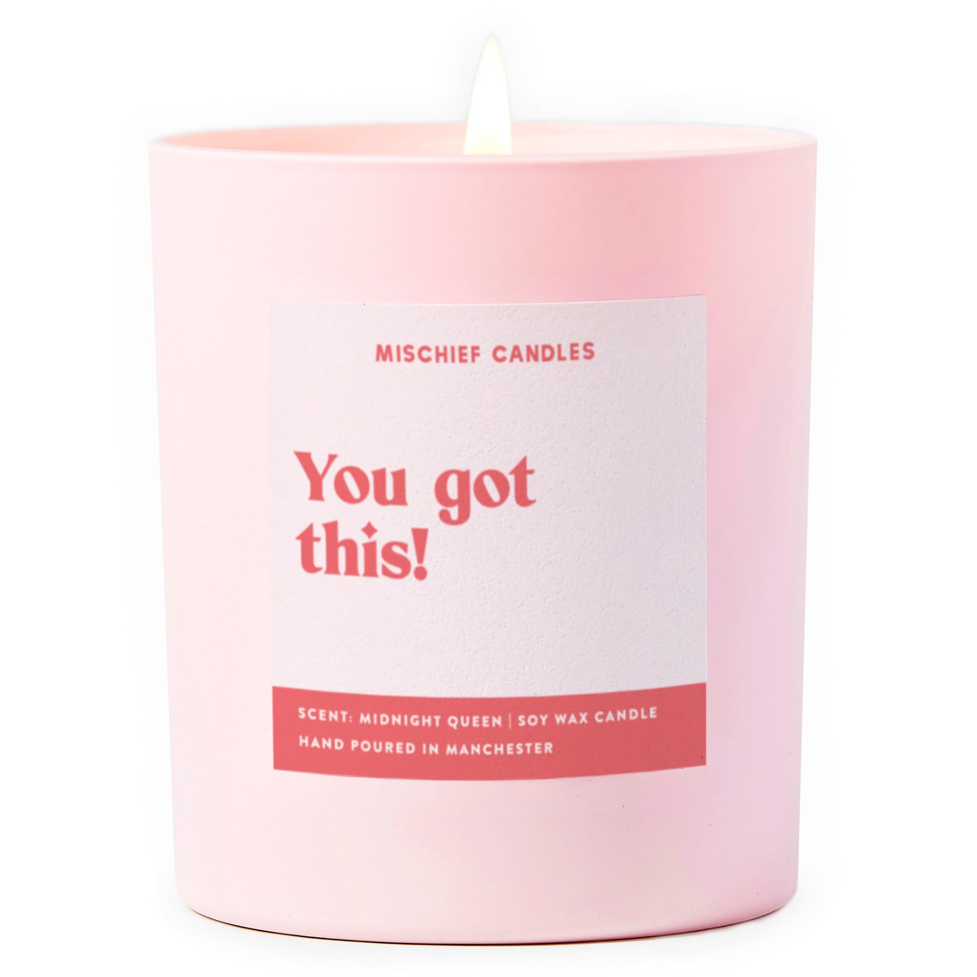 Funny Friendship Gift for Her Friend Gifts Scented Soy Wax Pink Candle (You Got This)